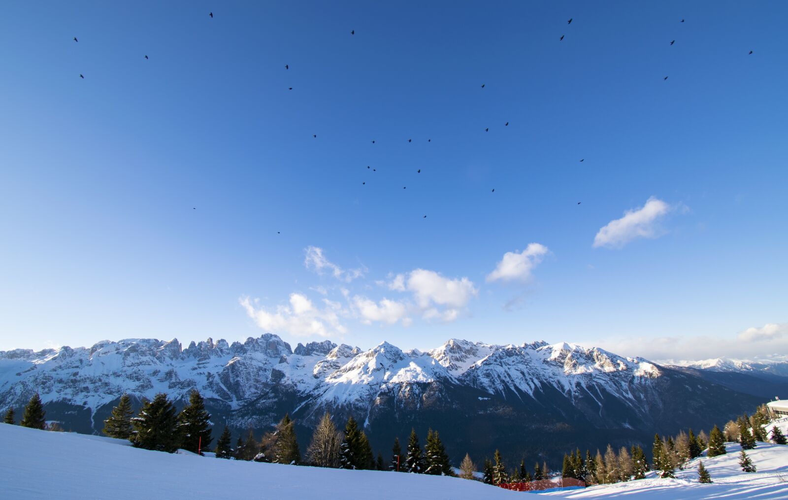Nikon D5300 sample photo. Mountains, birds, winter photography