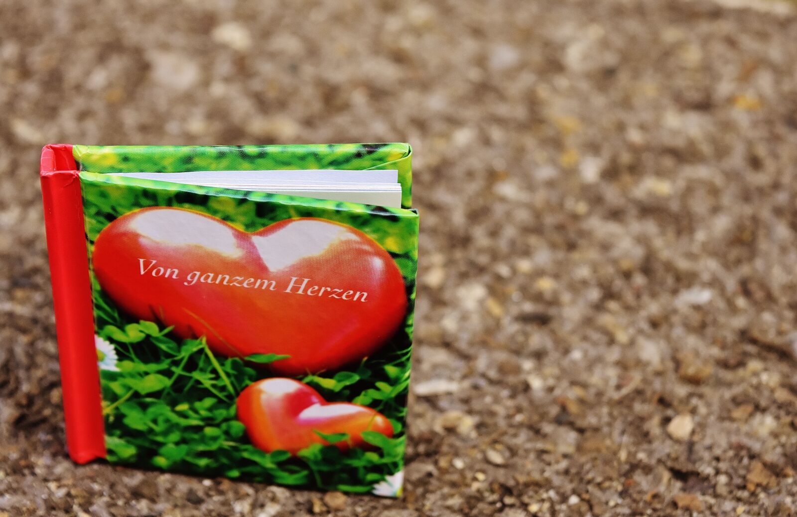 Nikon D7200 sample photo. Book, greeting card, rather photography