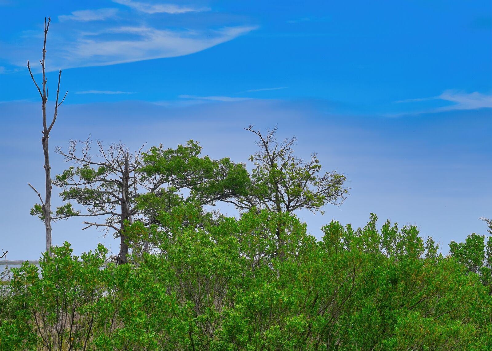 Nikon D3300 sample photo. Marsh, sky, landscape photography