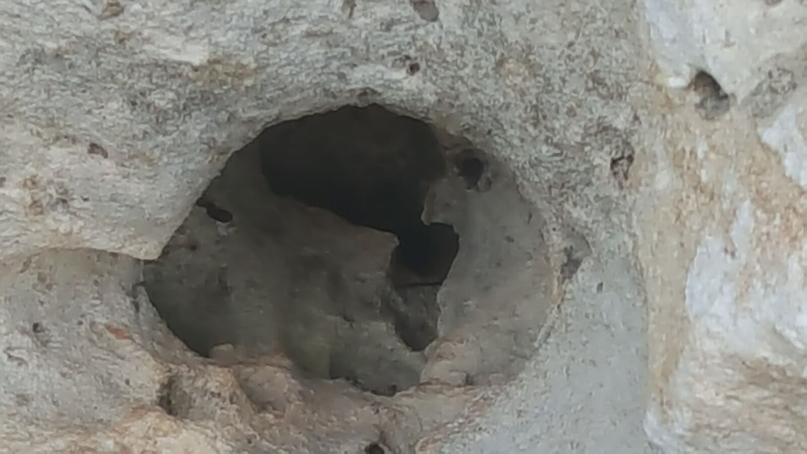 Samsung Galaxy Note5 sample photo. Circle, hole, rock, white photography