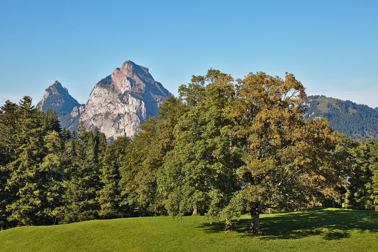 Canon EOS M5 + Canon EF-M 18-150mm F3.5-6.3 IS STM sample photo. Mountains, switzerland, tree photography