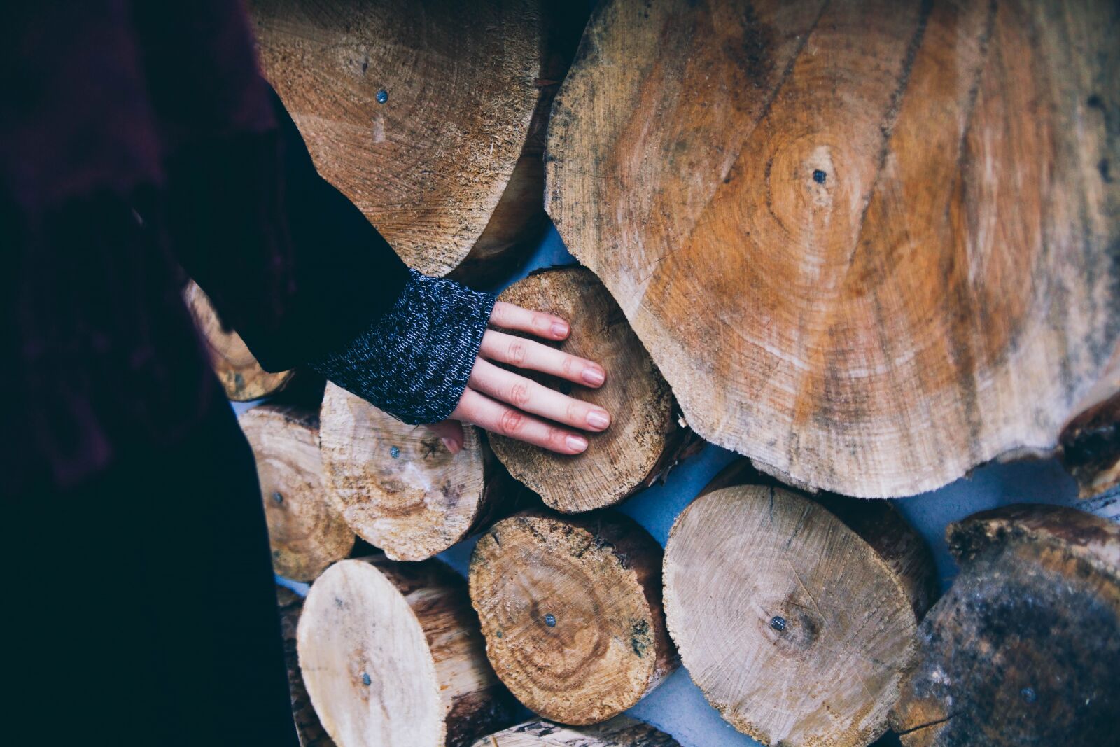 Canon EF 28-105mm f/3.5-4.5 USM sample photo. Winter, autumn, hand photography