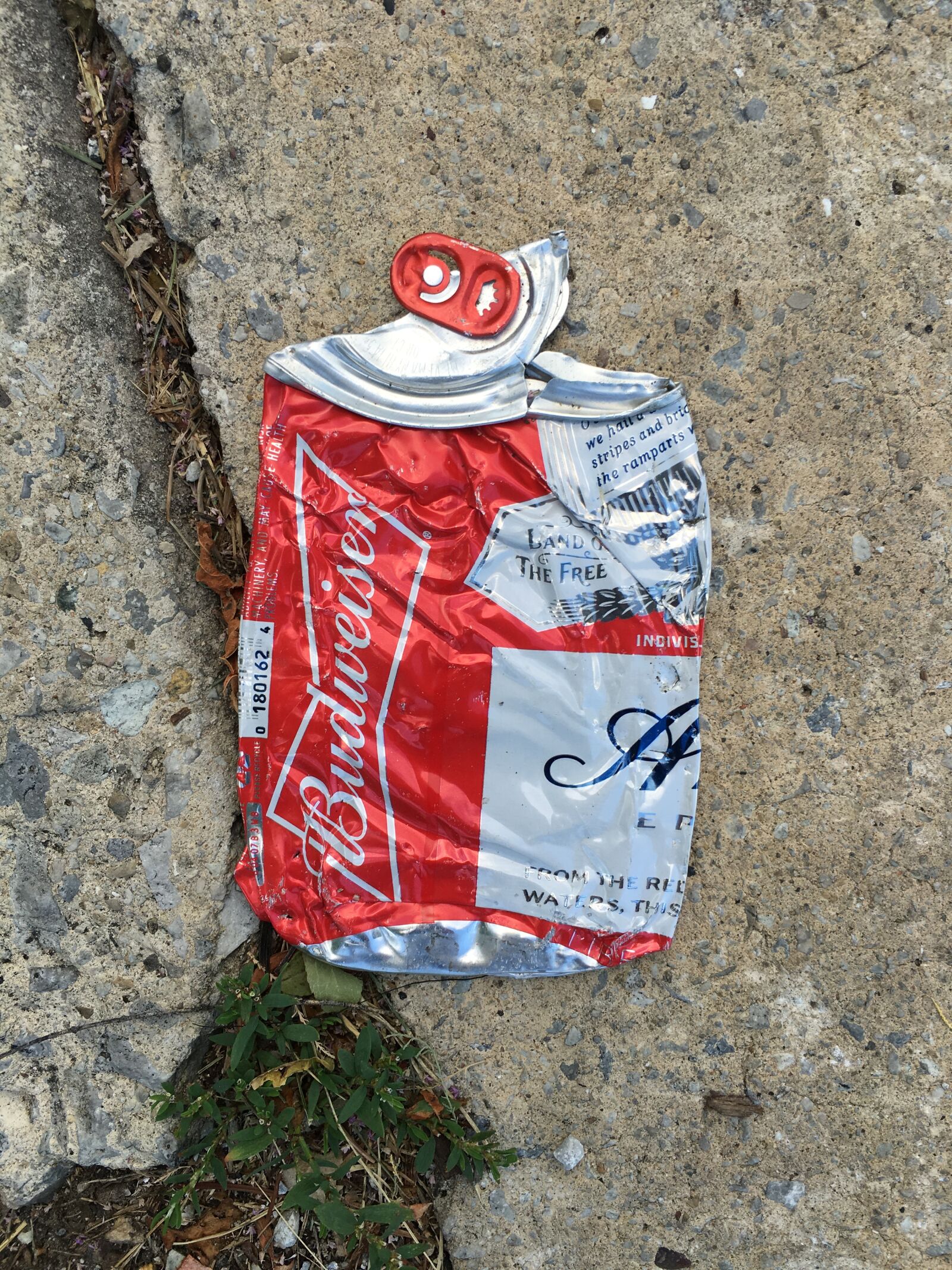 Apple iPhone 6s Plus sample photo. Smashed, beer, beverage photography