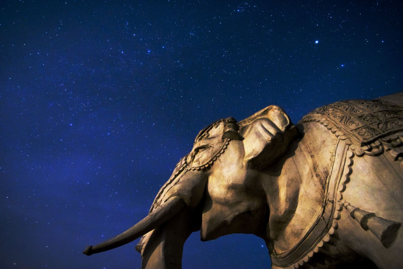 Nikon D5500 sample photo. Starry sky, background, star photography