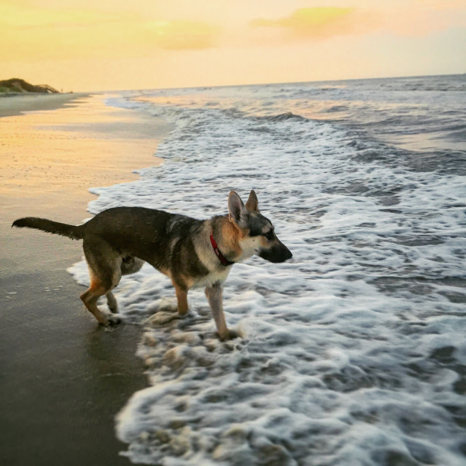 Apple iPhone 6 sample photo