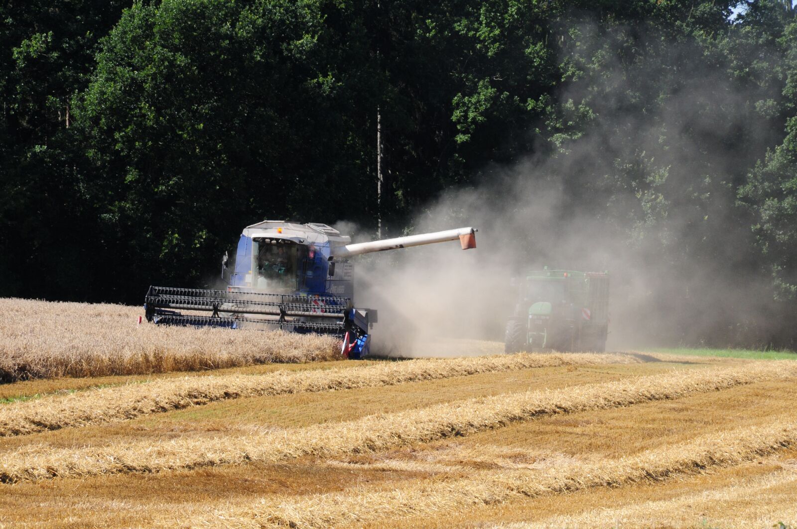 Nikon D300S sample photo. Harvest, field, agriculture photography