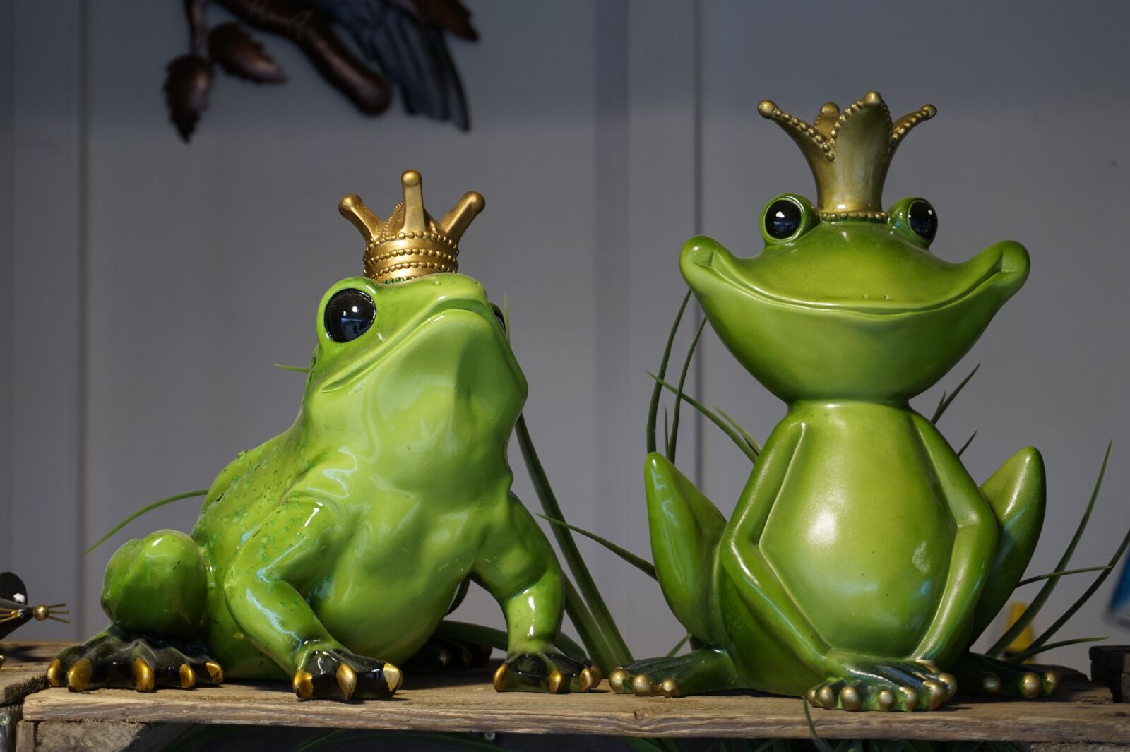 Sony Alpha a5000 (ILCE 5000) sample photo. Frog, frog prince, fairytale photography