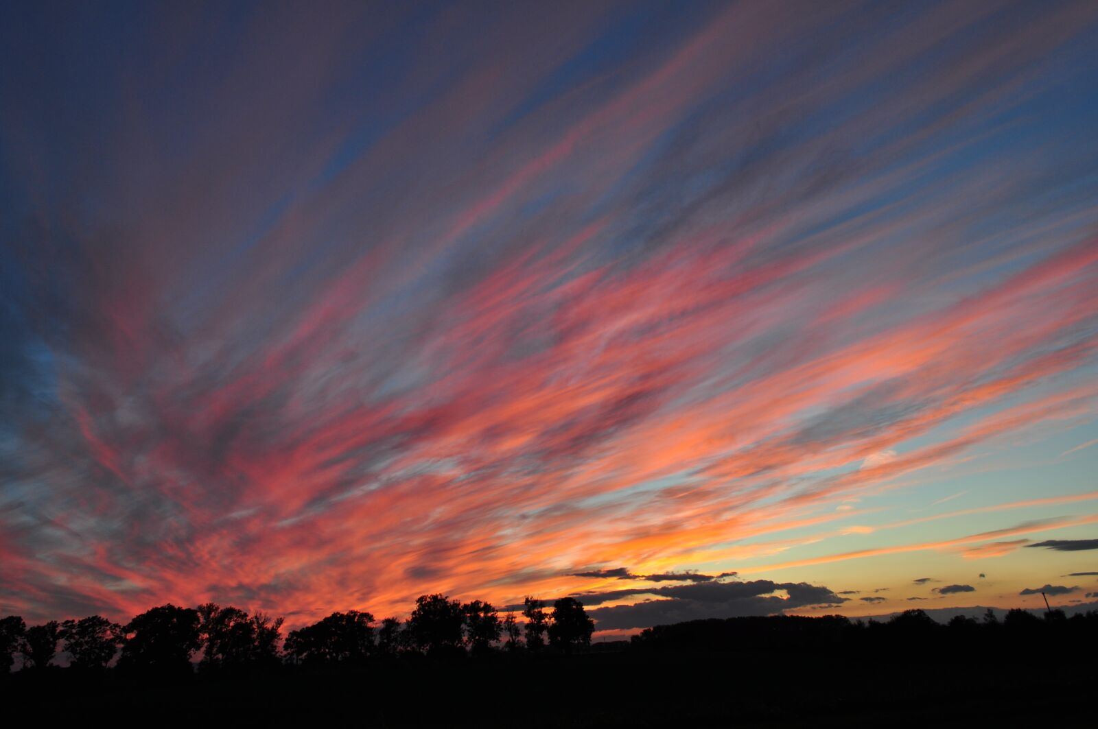 Nikon D5000 sample photo. Sunset, sun, orange photography