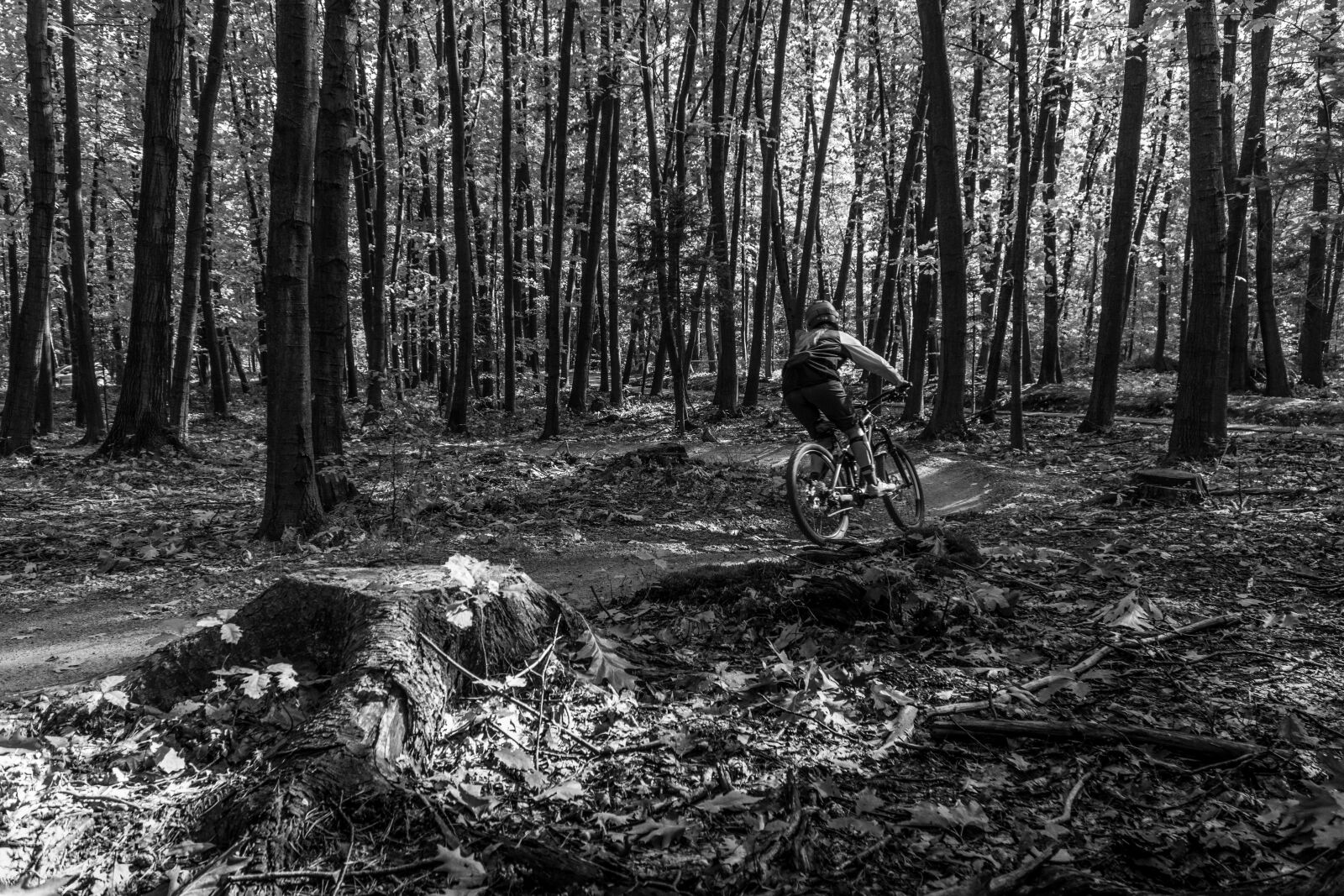 Sony a6300 + Sony E PZ 18-105mm F4 G OSS sample photo. Sport, bike, enduro photography
