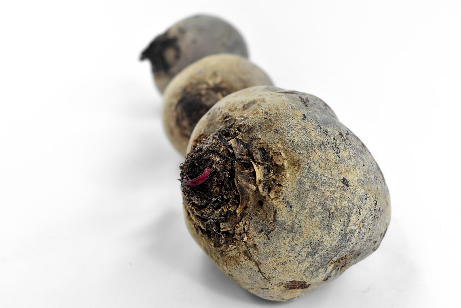 Nikon D5500 sample photo. Beetroot, black, organic, root photography