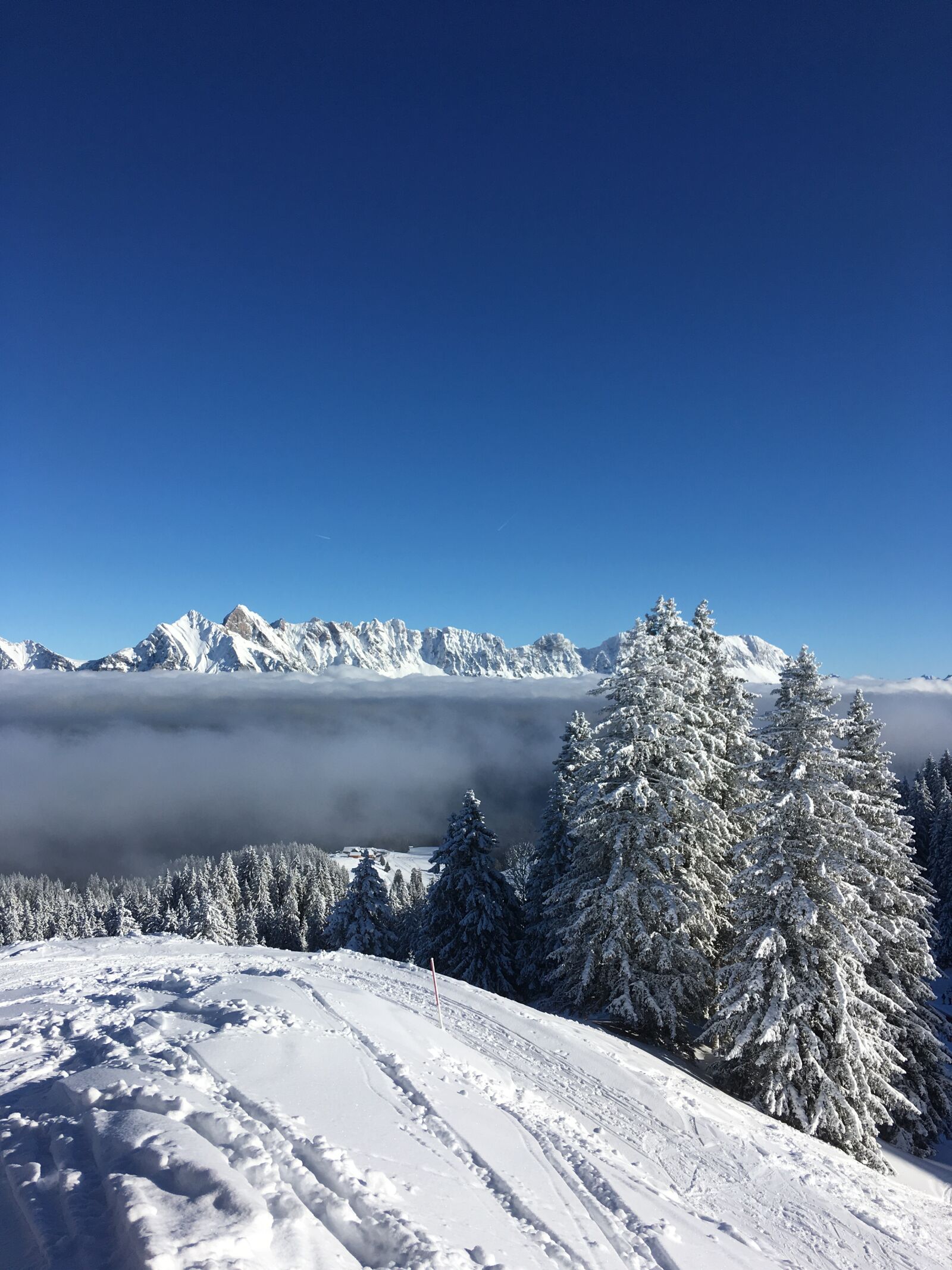 iPhone SE back camera 4.15mm f/2.2 sample photo. Switzerland, flums, flumselberg photography