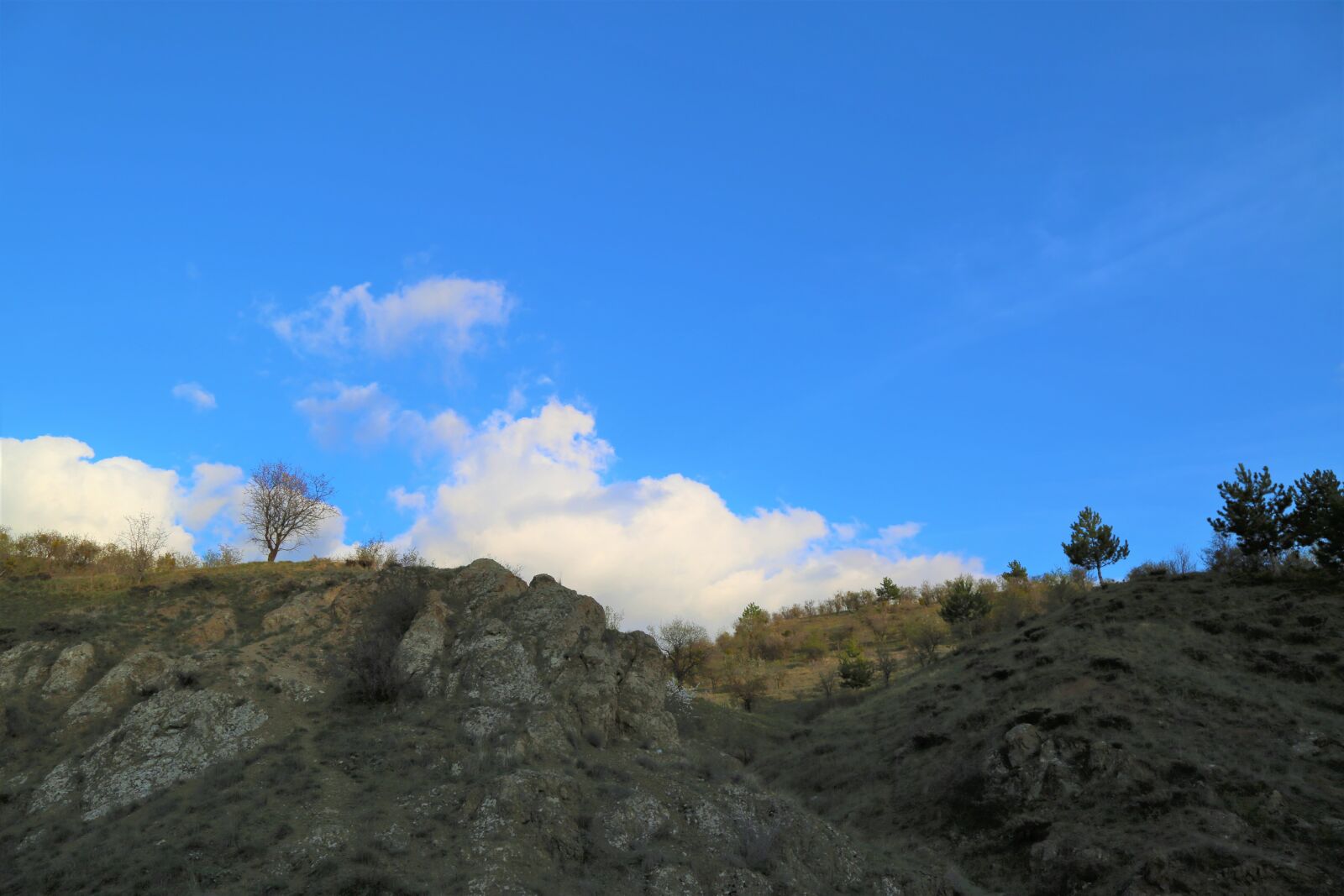 Canon EF 24-105mm F4L IS USM sample photo. Nature, sky, outdoor photography