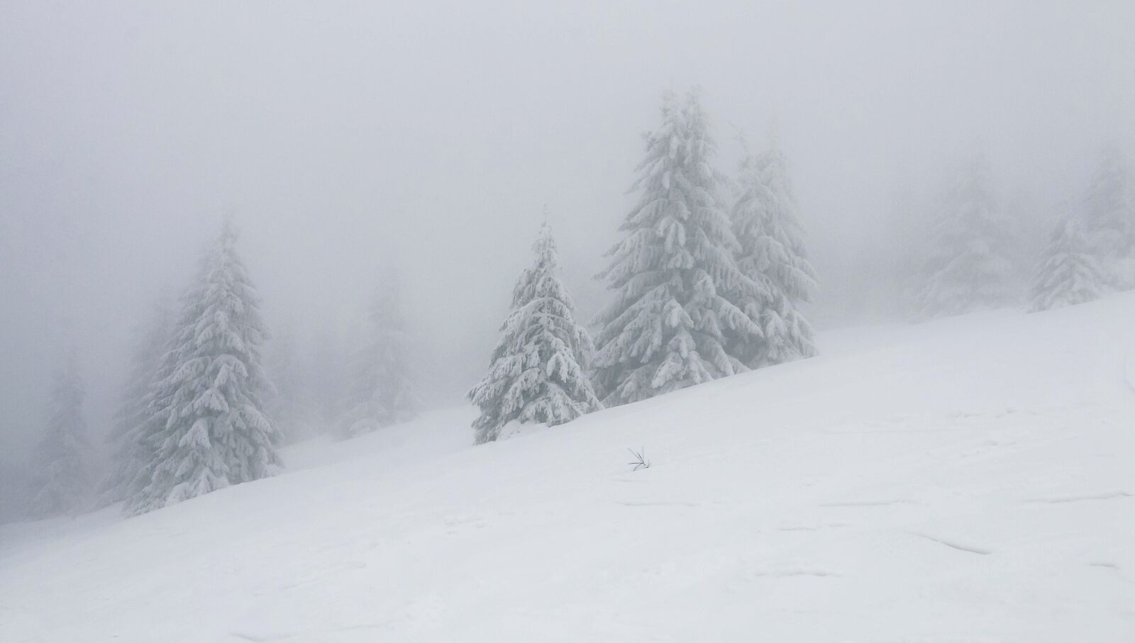 Canon EOS 70D sample photo. Donovaly, slovakia, ski snowboard photography