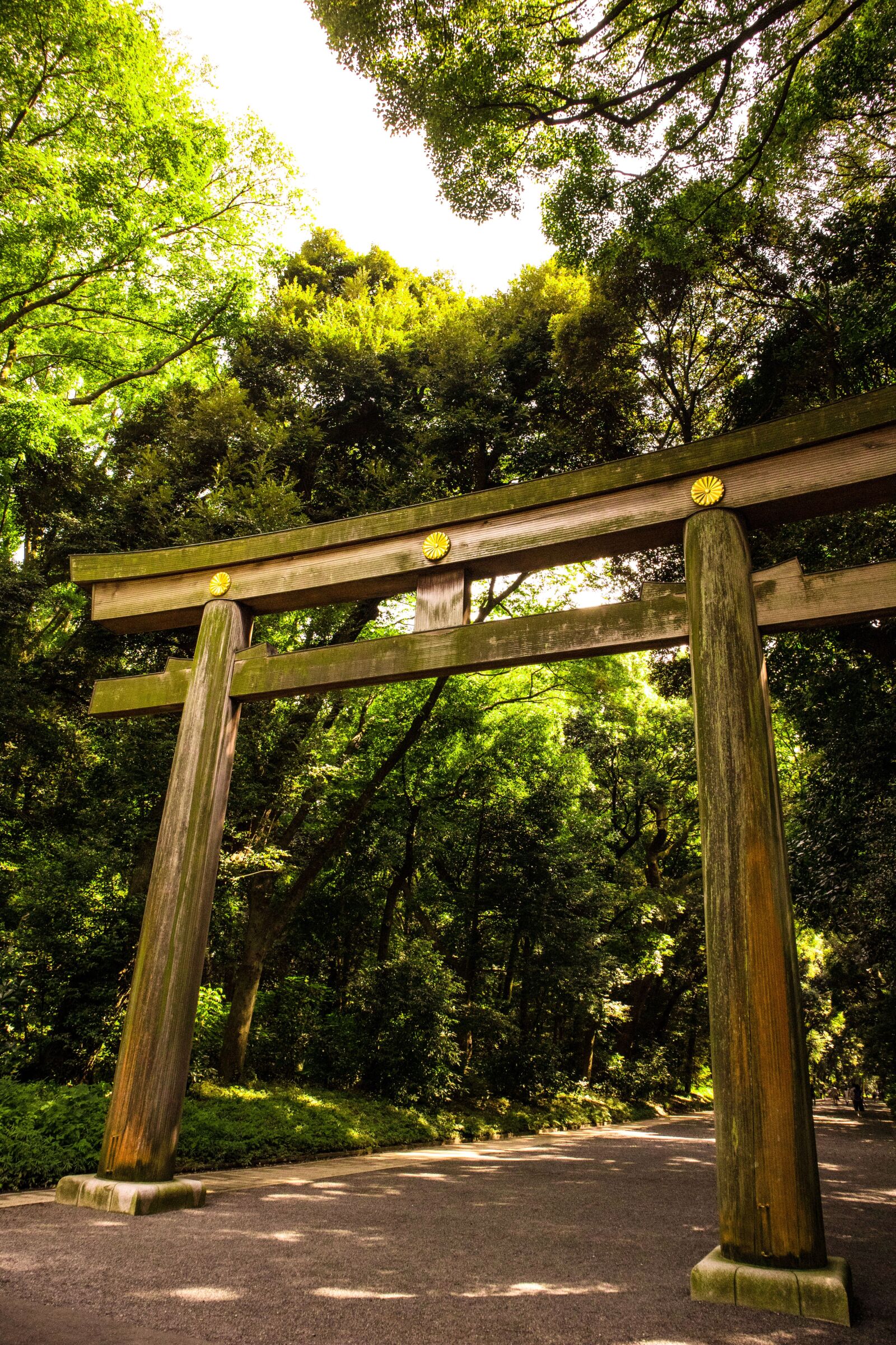 Canon EOS M10 sample photo. Gate, garden, nature photography