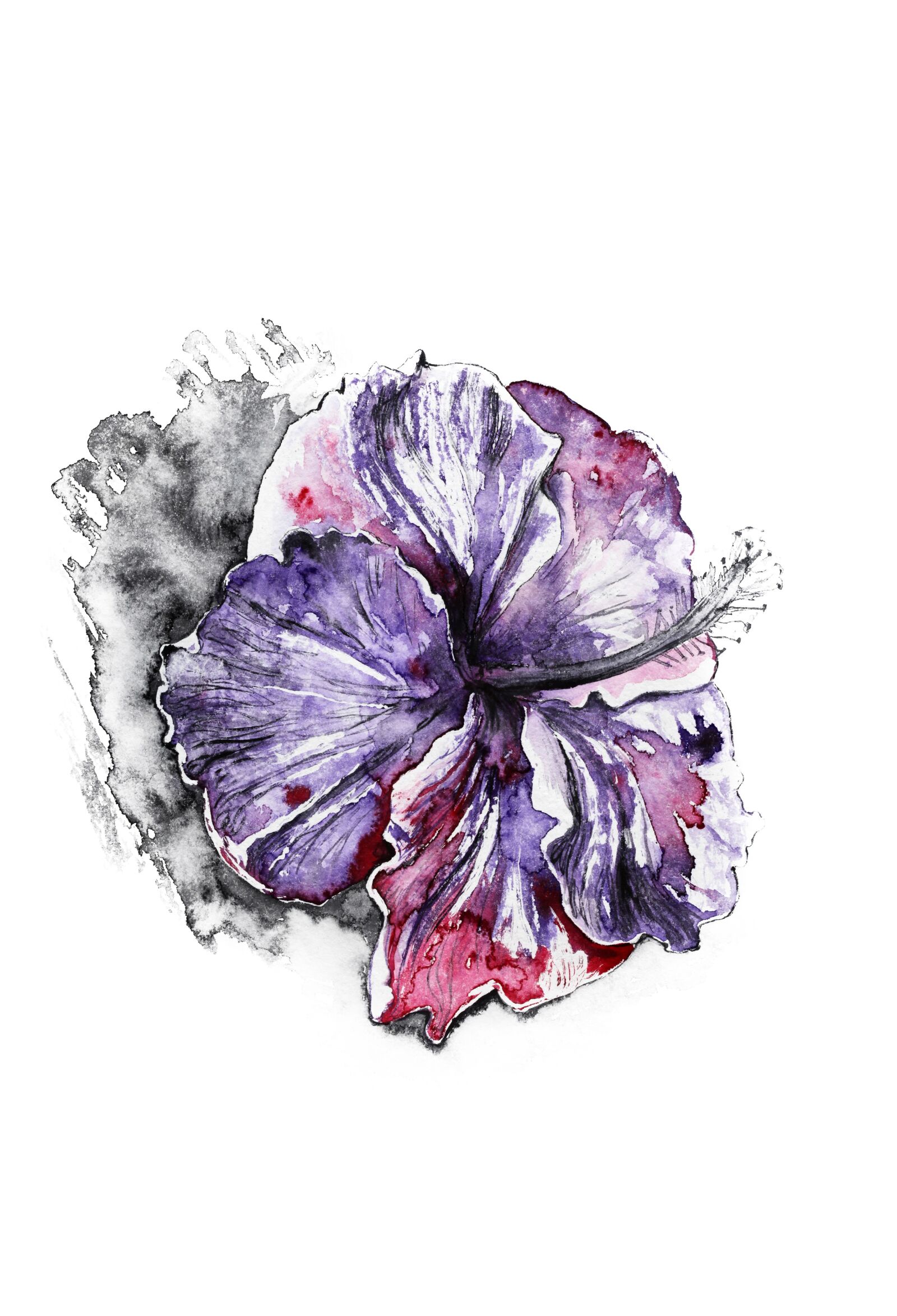 Canon EOS 5D Mark II sample photo. Violet, flower, purple photography