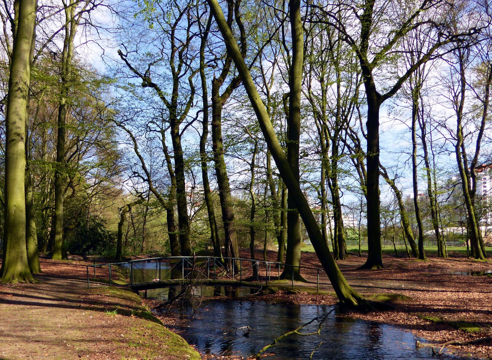 Panasonic DMC-TZ61 sample photo. Creek, spring, water photography