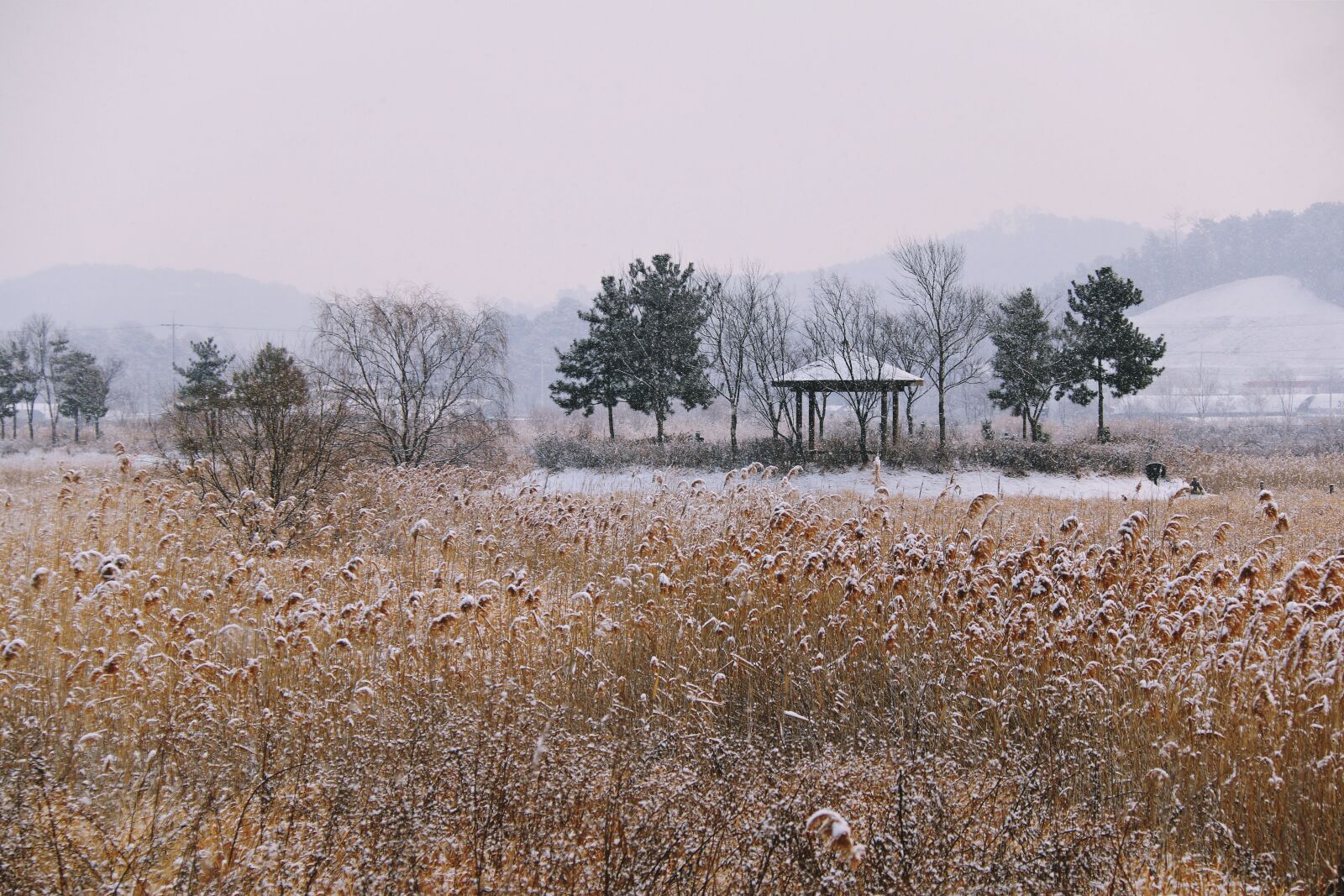 Canon EF-S 18-200mm F3.5-5.6 IS sample photo. Nature, scenery, outdoors photography