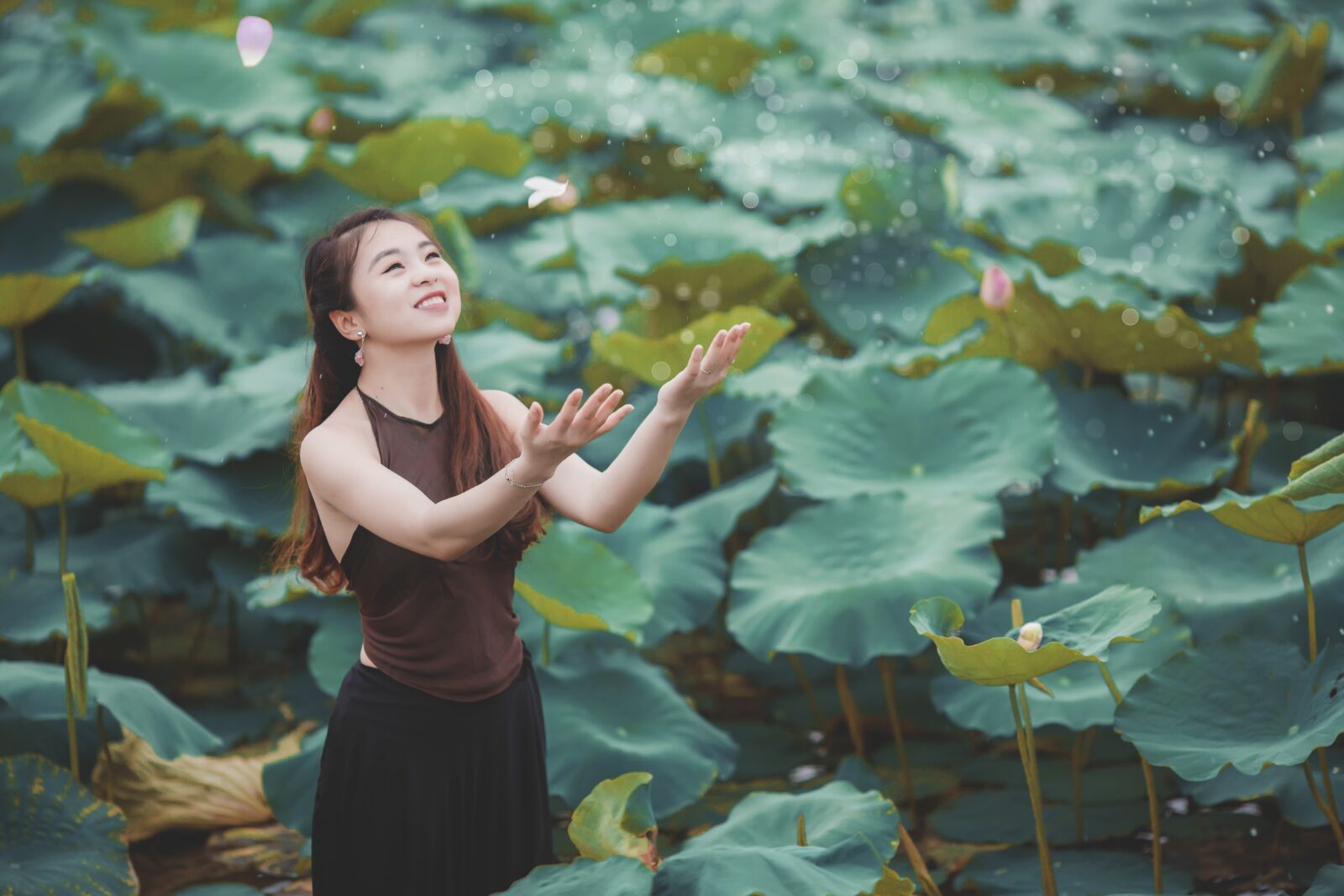 Canon EOS 5D Mark II + Canon EF 135mm F2L USM sample photo. Lotus, teen, nice photography