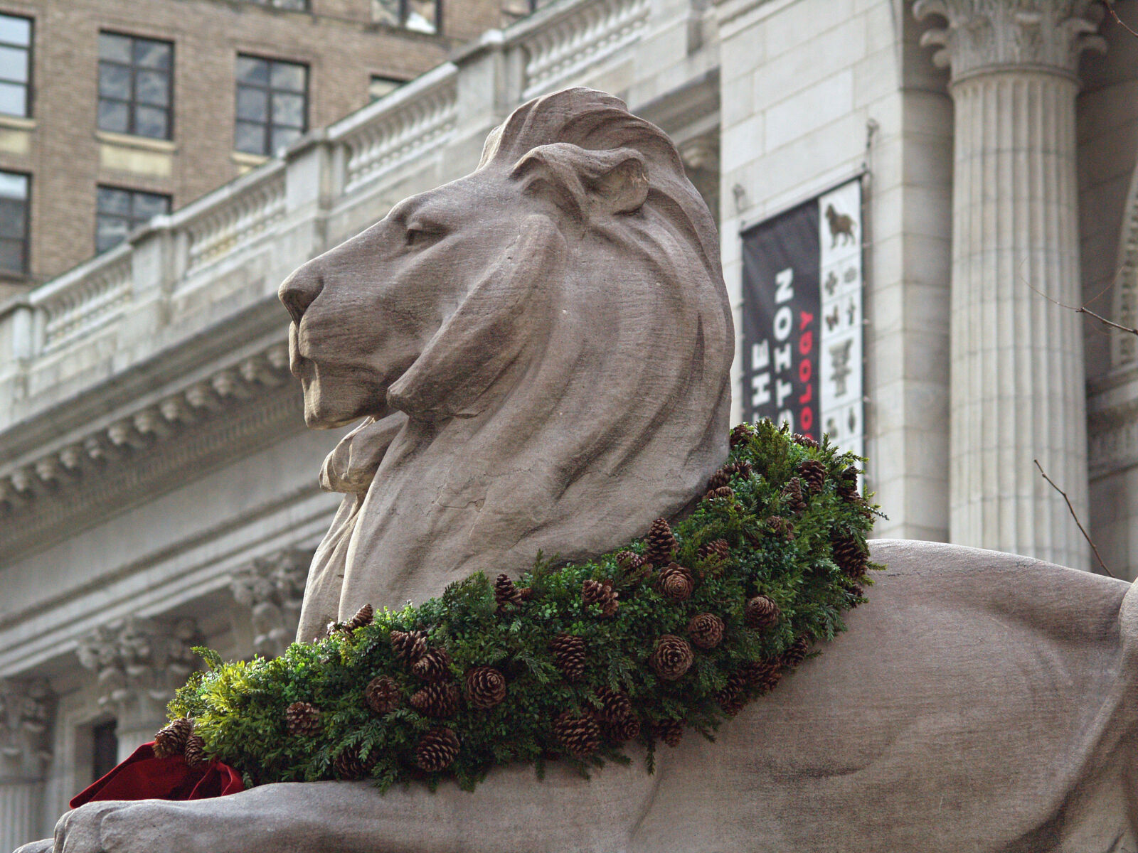 Olympus E-500 (EVOLT E-500) sample photo. Buildings, lion, new, york photography