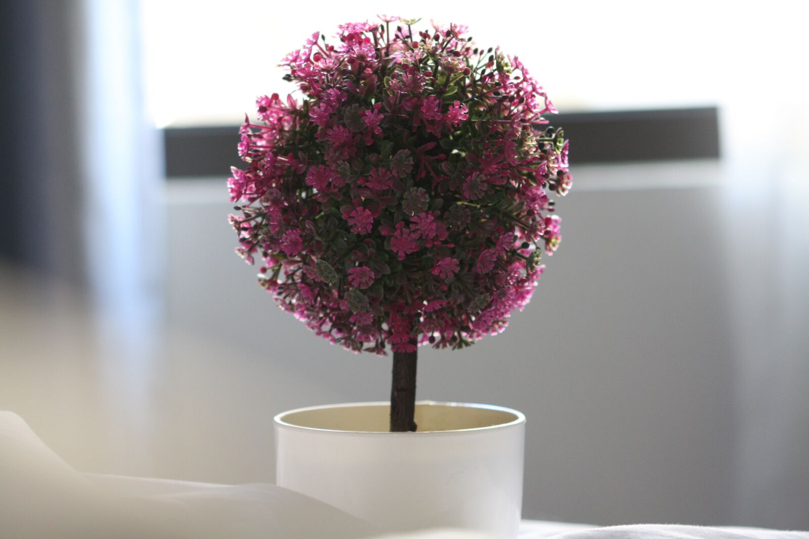Canon EOS 40D sample photo. Still, flower, macro photography