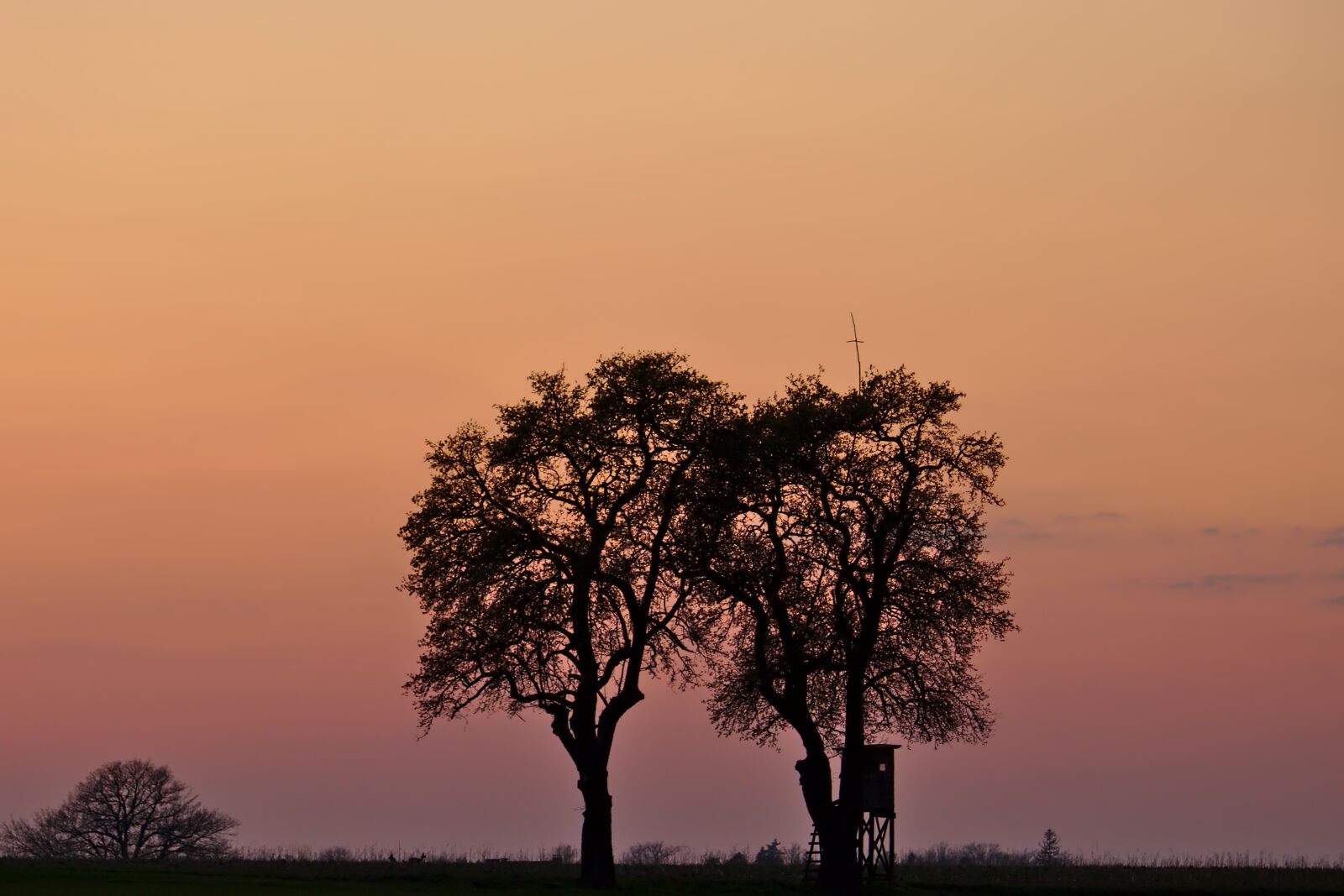 Canon EOS 77D (EOS 9000D / EOS 770D) sample photo. Sunset, landscape, tree photography