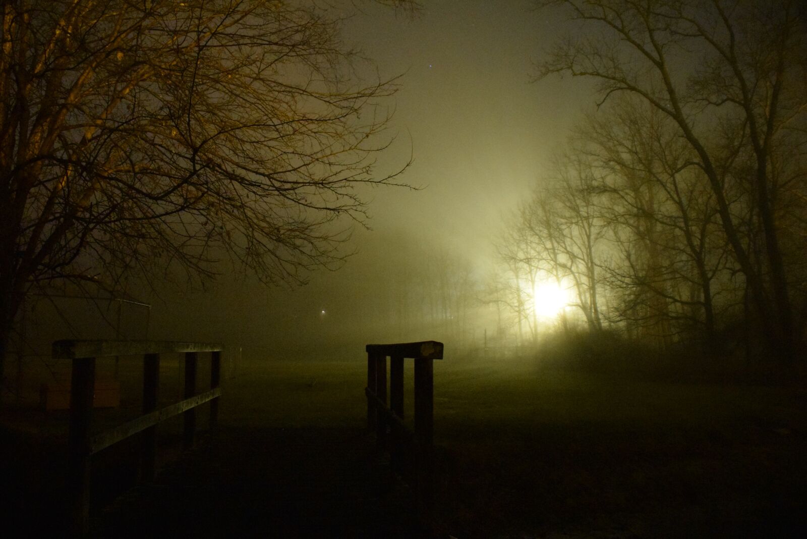 Nikon D3300 sample photo. Fog, night, shadows photography
