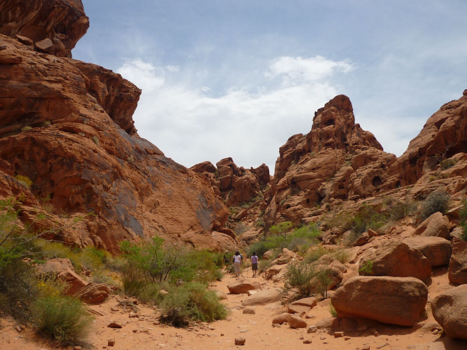 Panasonic Lumix DMC-FS6 sample photo. Usa, canyon, nature photography