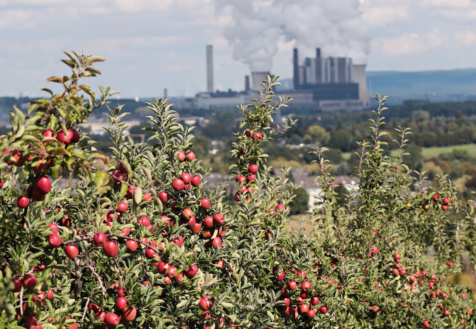 Canon EOS 80D sample photo. Apple, power plant, coal photography