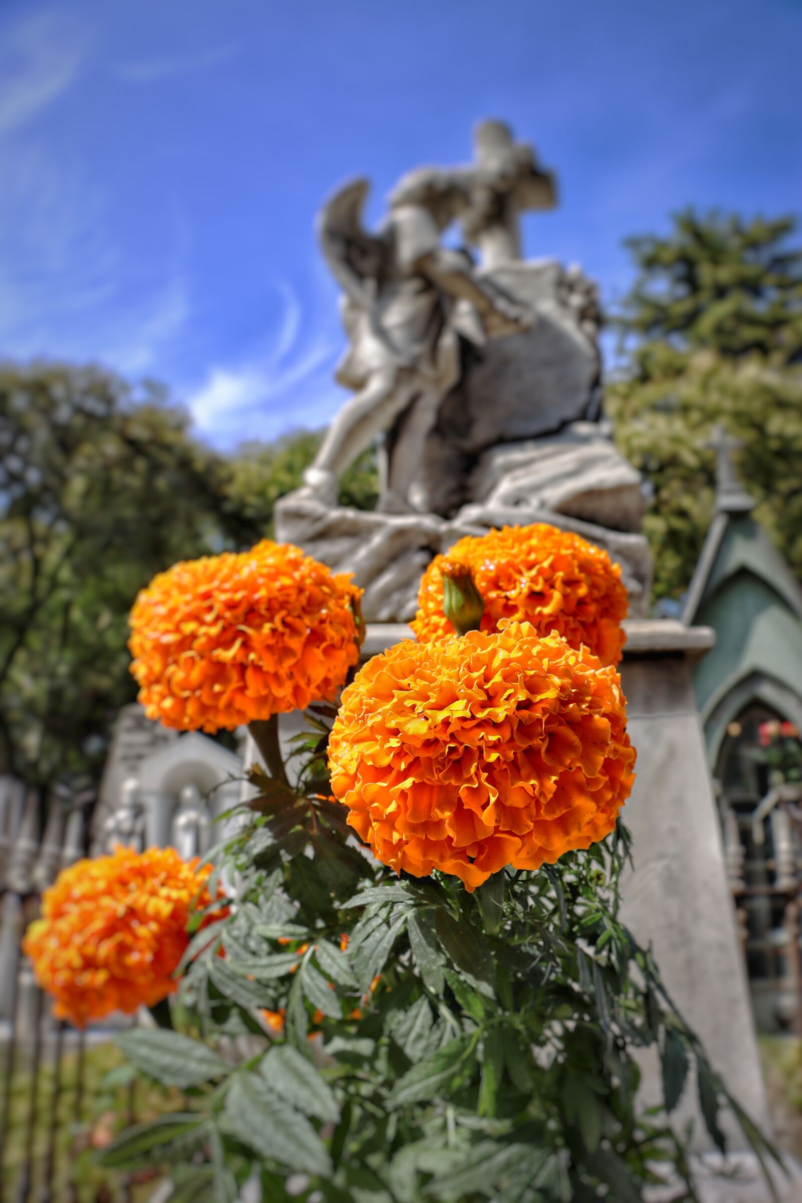 Canon EF-S 18-135mm F3.5-5.6 IS USM sample photo. Graveyard, day, tombstone photography