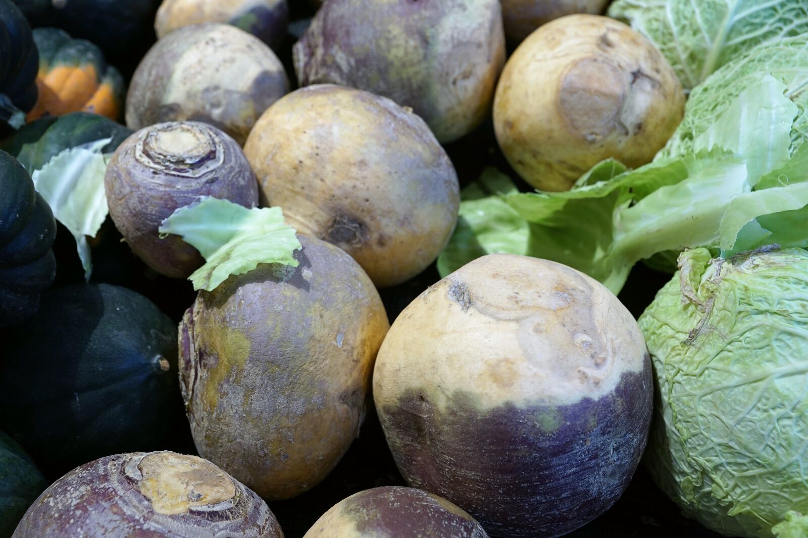 Sony ILCA-77M2 + Sony DT 16-50mm F2.8 SSM sample photo. Beets, eat, market photography