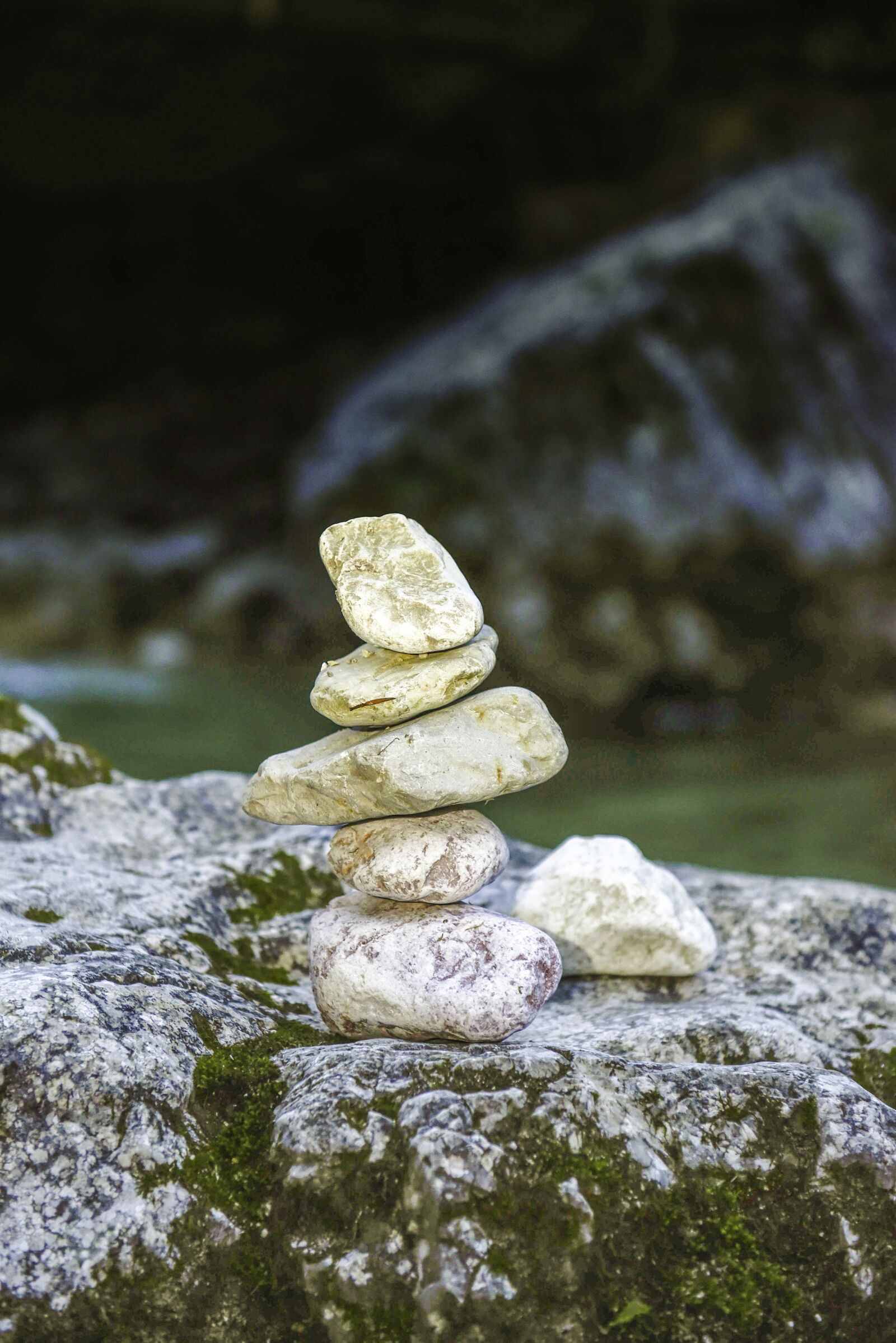 Nikon D750 sample photo. Water, inject, forest photography