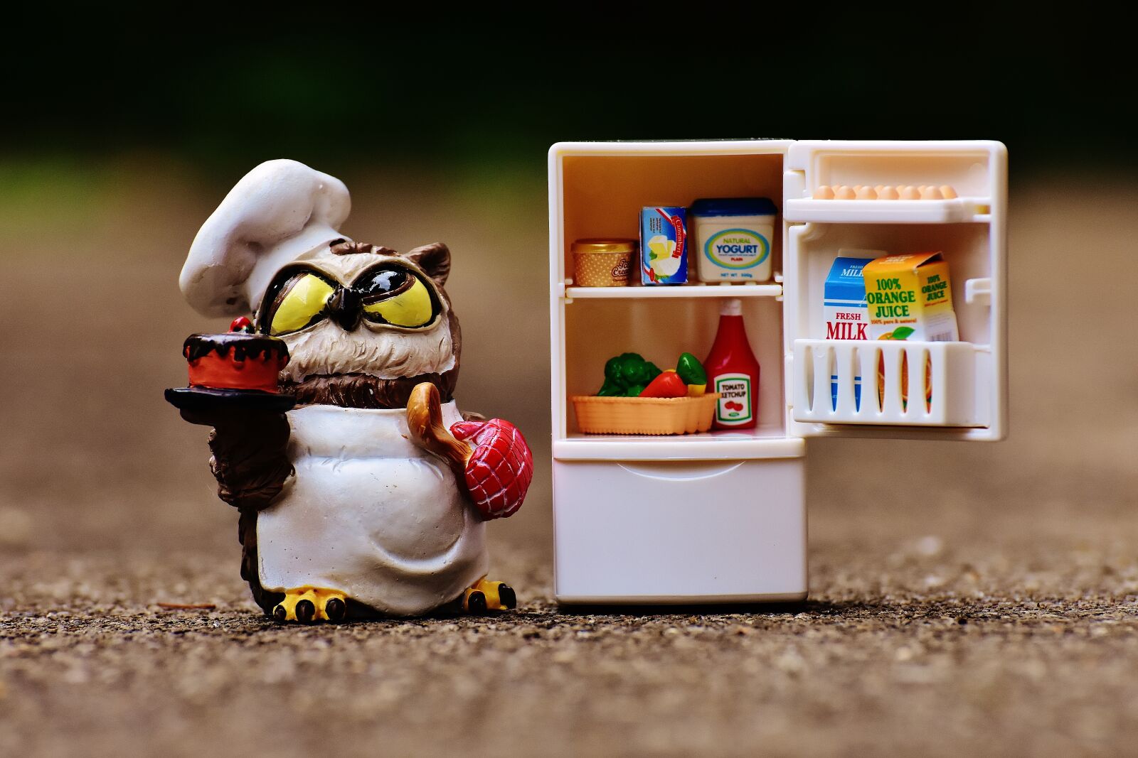 Nikon D7200 sample photo. Owl, bake, cook photography