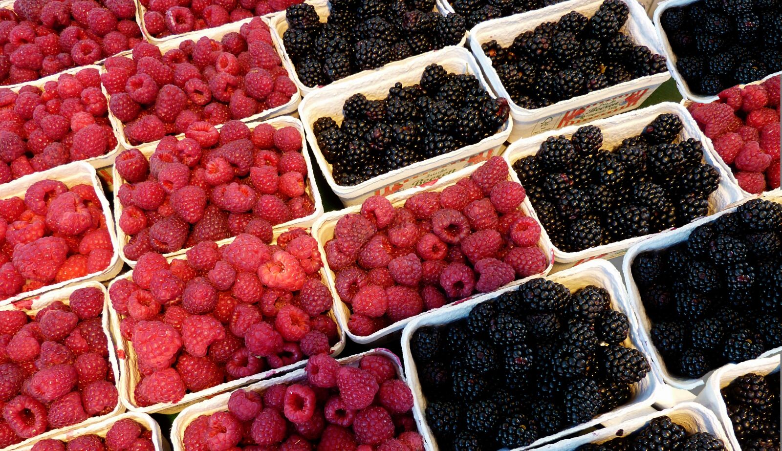 Panasonic DMC-TZ7 sample photo. Raspberries, blackberries, fruit photography