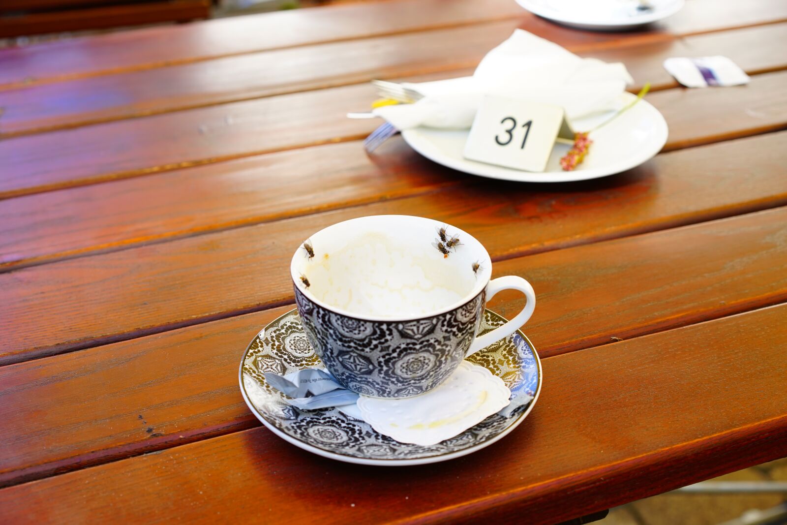 Sony a7 + Sony Sonnar T* FE 55mm F1.8 ZA sample photo. Coffee cup, flying, mosquitoes photography