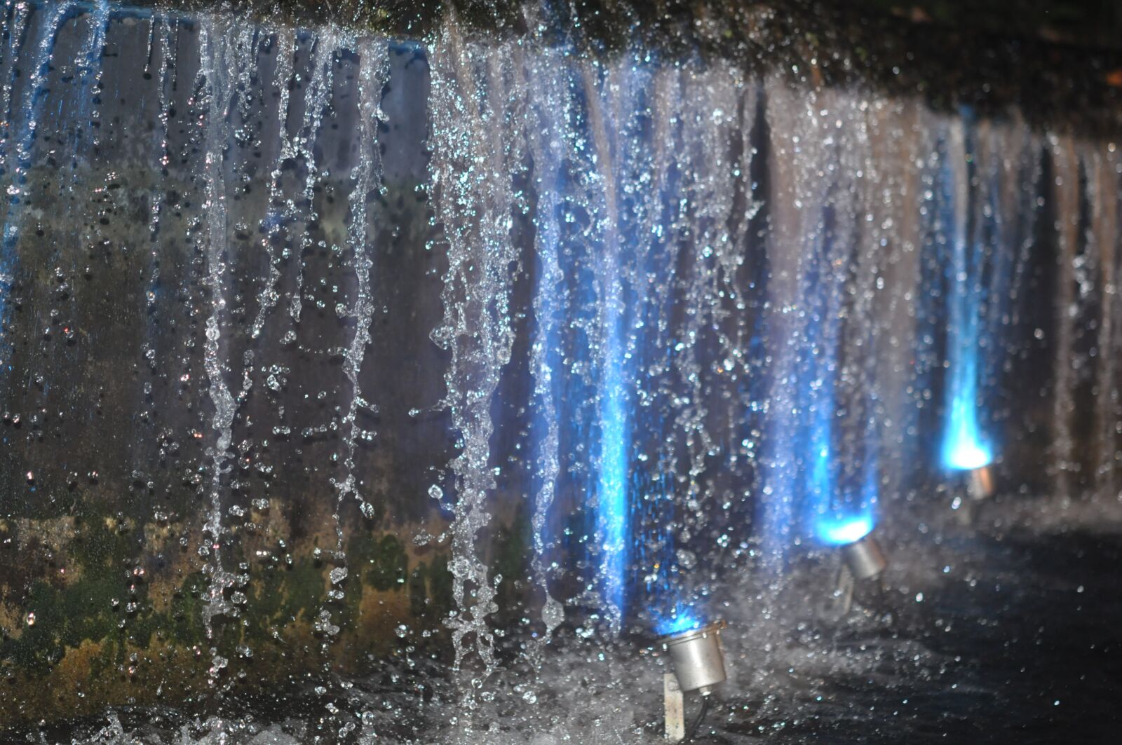 Nikon D90 sample photo. Singapore, botanic garden, water photography