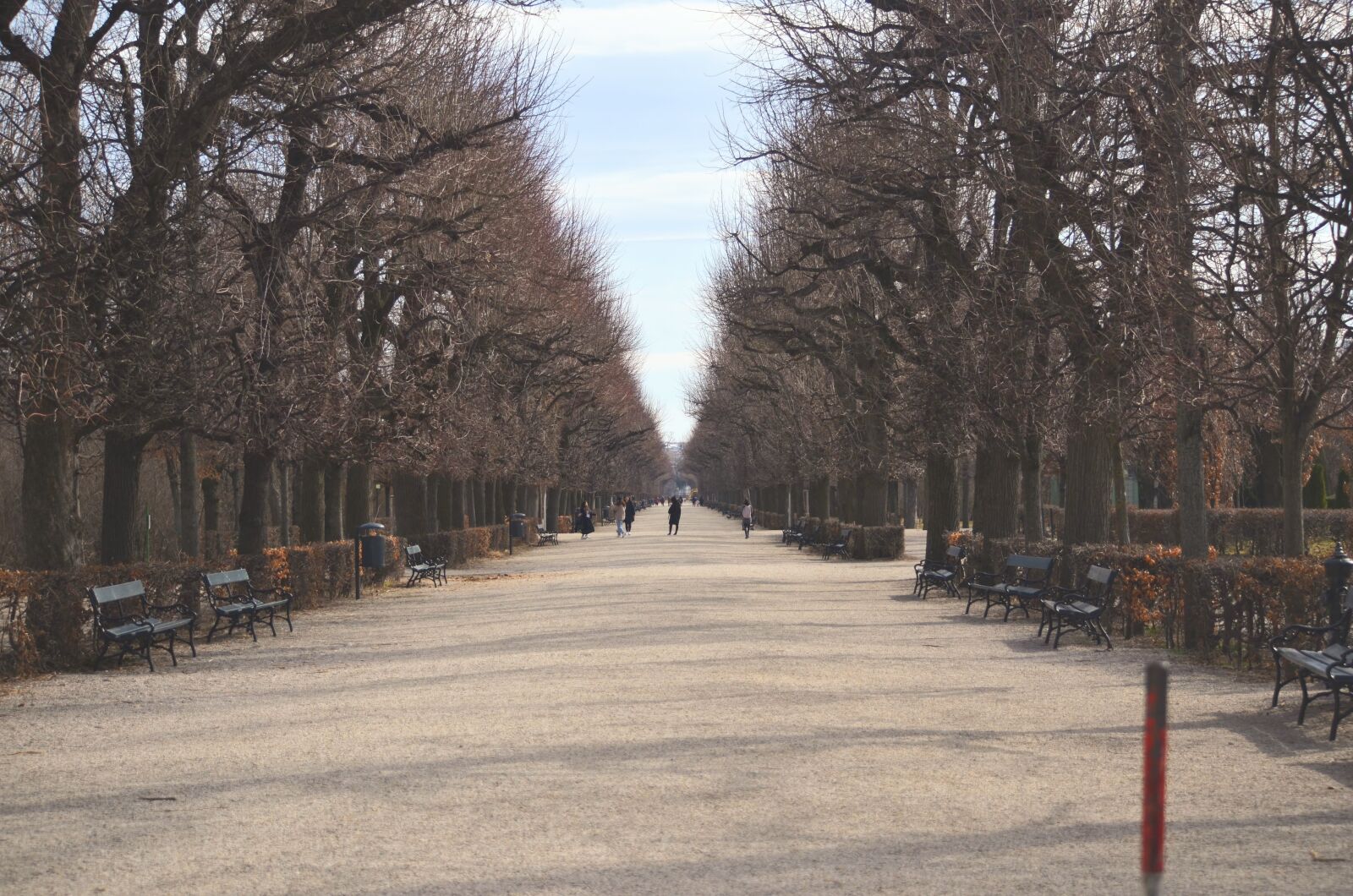 Nikon D5100 sample photo. Vienna, park, austria photography