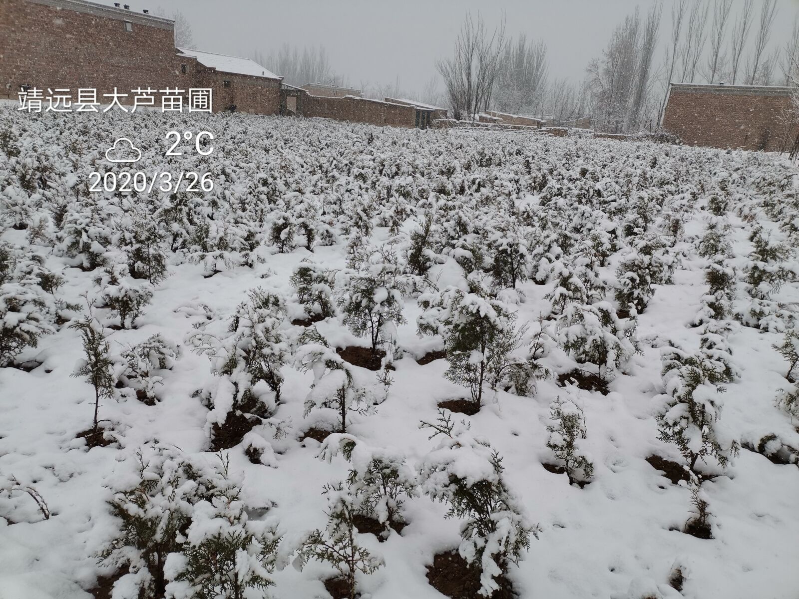 HUAWEI HLK-AL00 sample photo. Snow, rural snow scene photography