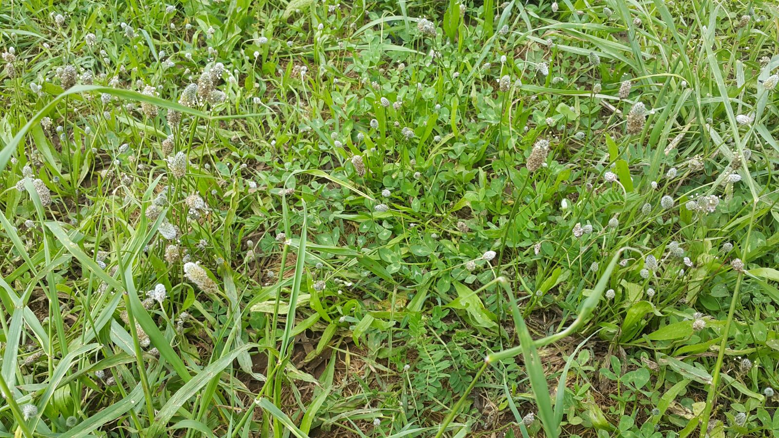 Samsung Galaxy Note4 sample photo. Ye illik, do a photography