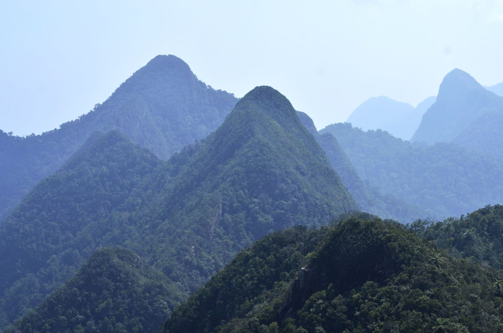 Nikon D7000 sample photo. Hills, cliff, rainforest photography