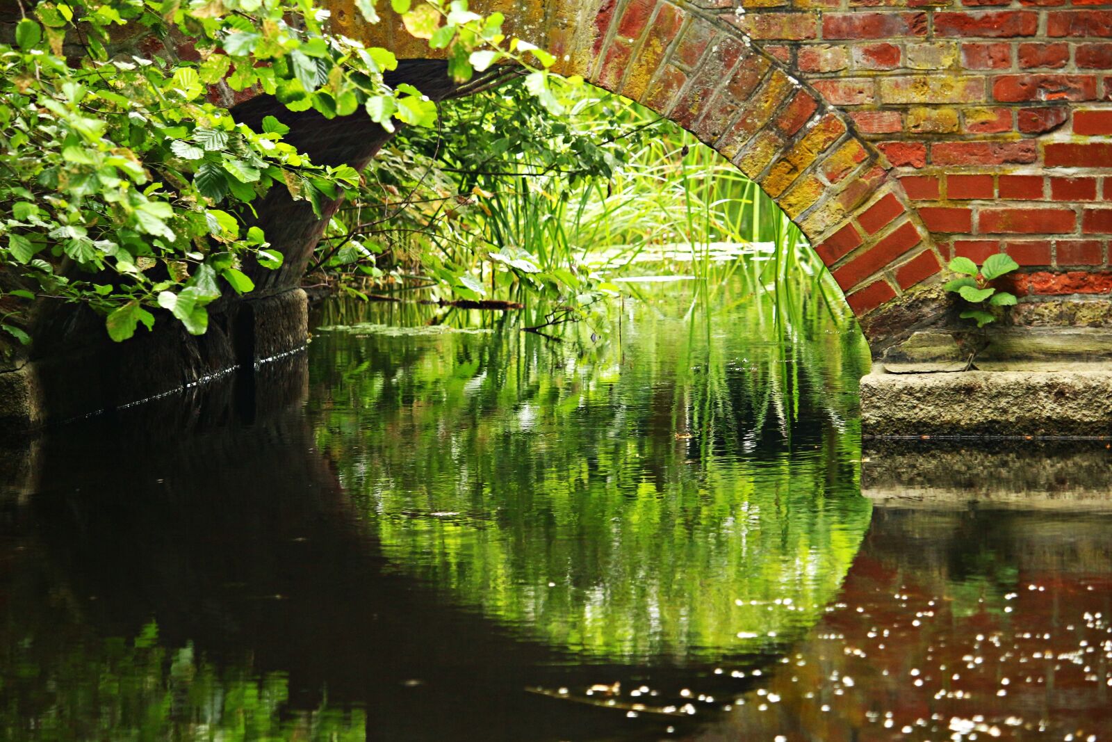 Canon EOS 100D (EOS Rebel SL1 / EOS Kiss X7) sample photo. Bridge, water, arch photography