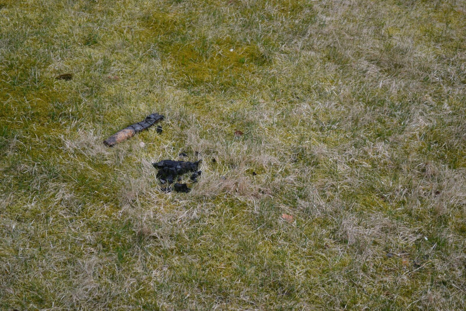Nikon D3100 sample photo. Campfire, carbon, spring photography