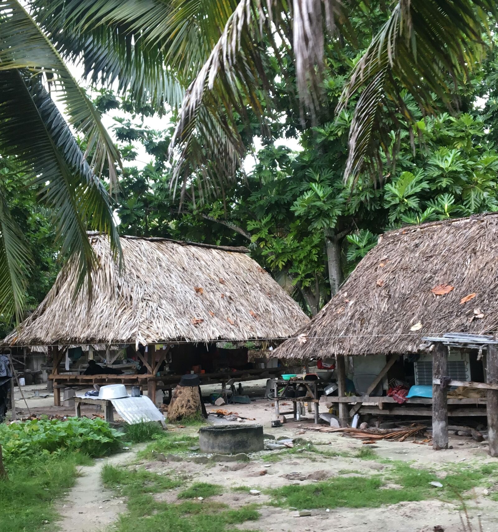 Apple iPhone 6s sample photo. Hut, tropical, exotic photography