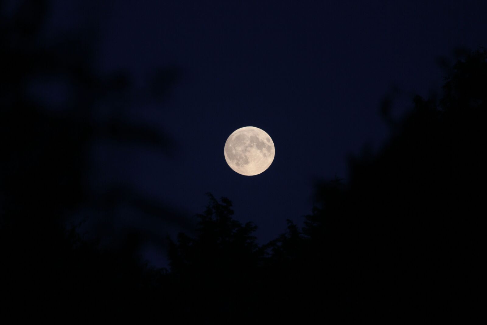 Canon EOS 550D (EOS Rebel T2i / EOS Kiss X4) sample photo. Moon, lunar, luna photography