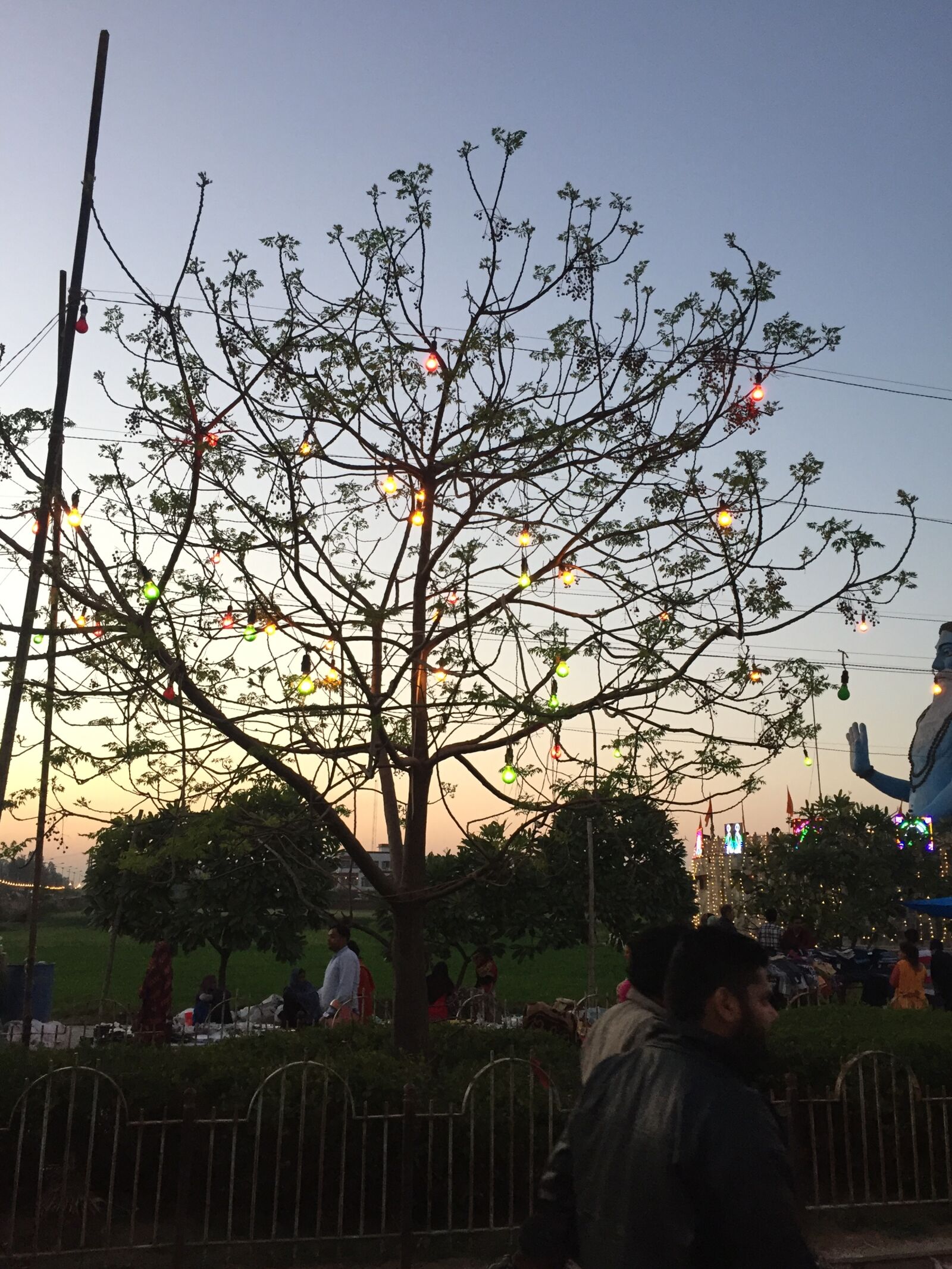 iPhone 6 back camera 4.15mm f/2.2 sample photo. Christmas, decorations, dusk, festival photography