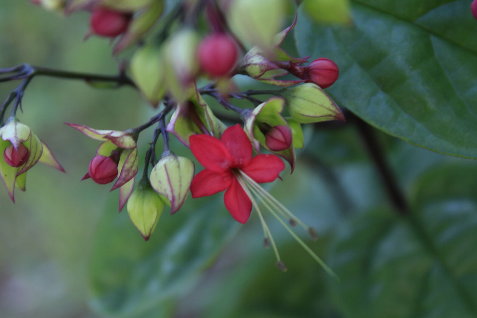 Canon EOS 7D sample photo