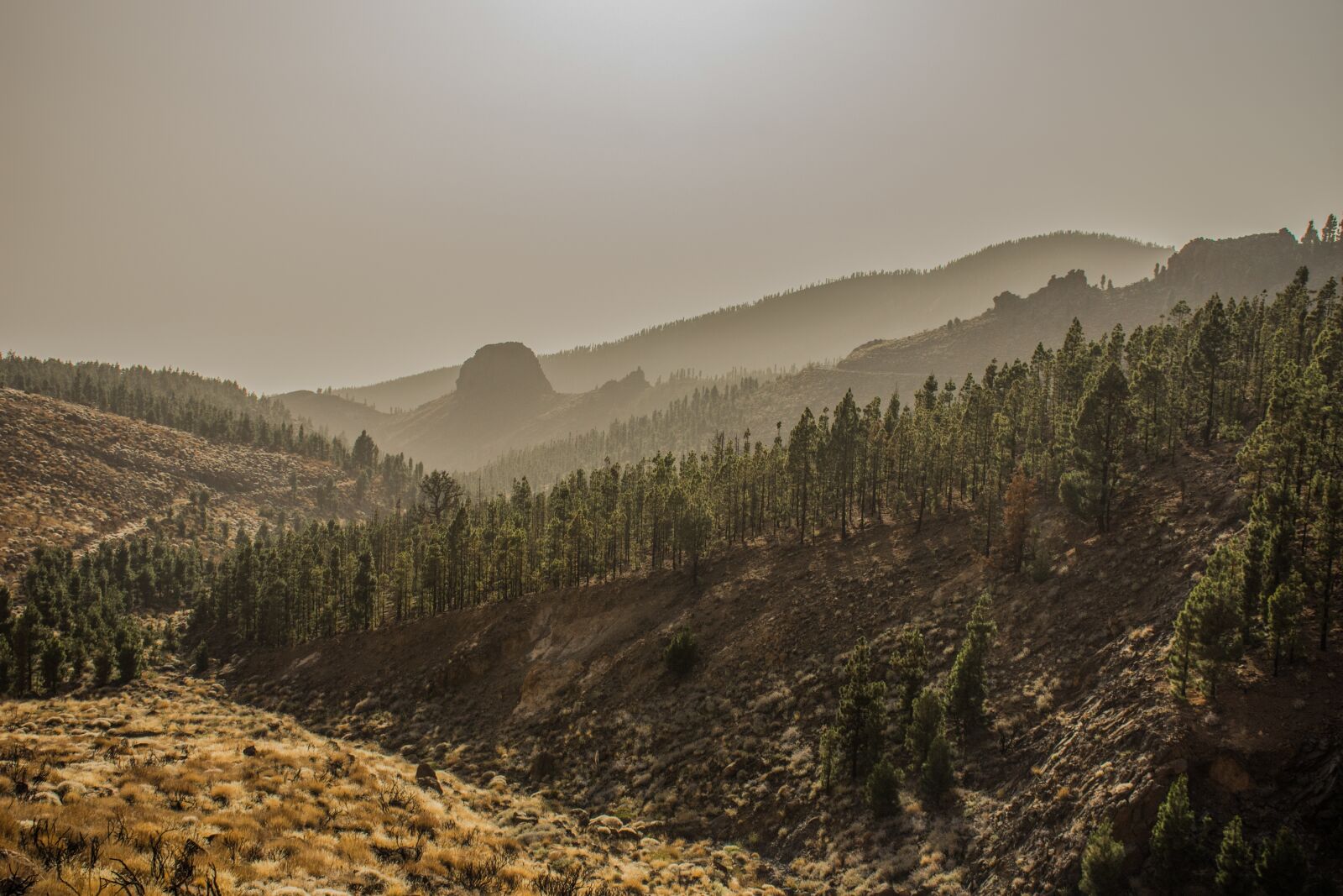 Nikon D7200 sample photo. Mountains, forest, sun photography
