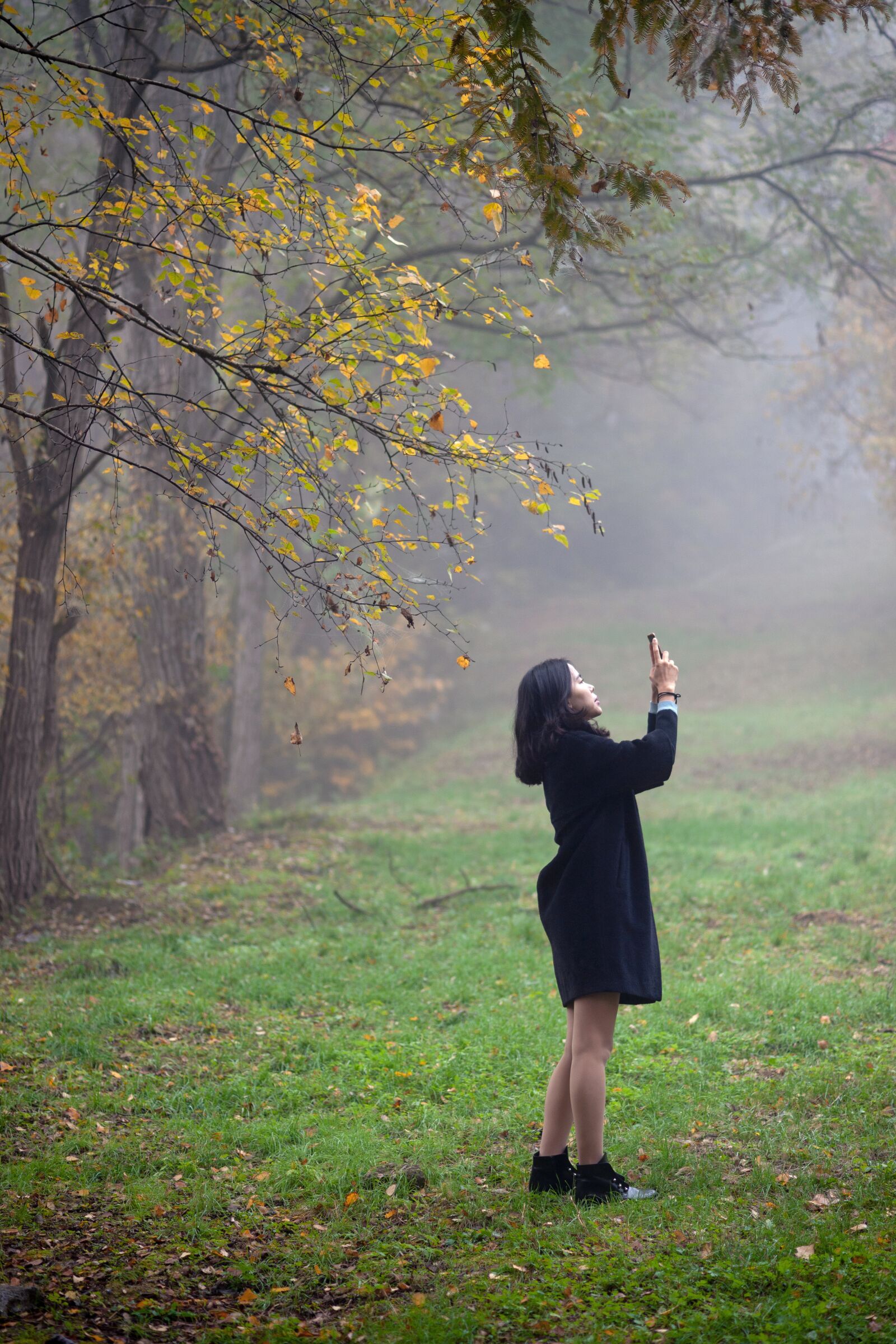 Sony Alpha DSLR-A900 sample photo. Woman, autumn, morning photography