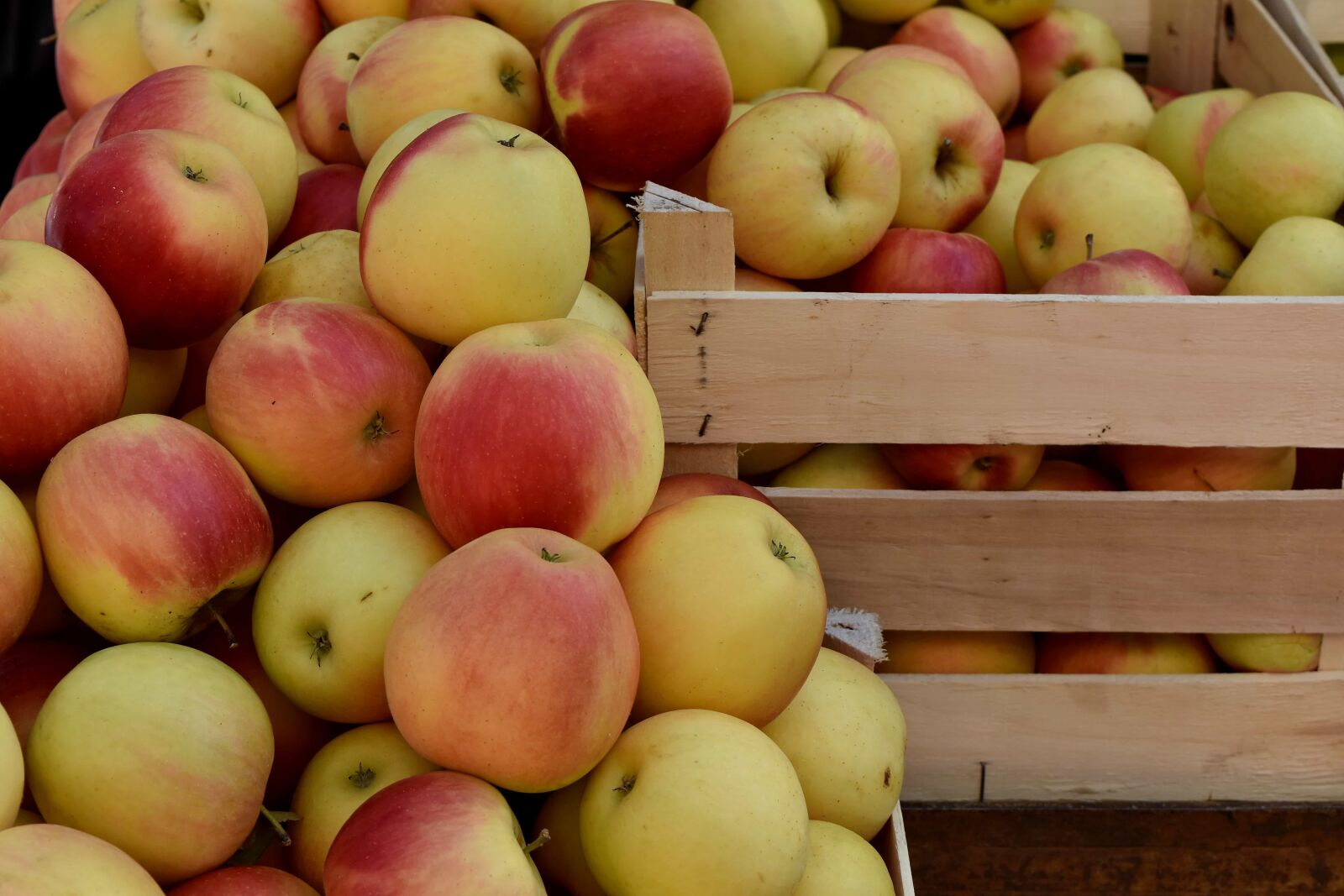 Nikon D5500 sample photo. Basket, healthy, food, apple photography