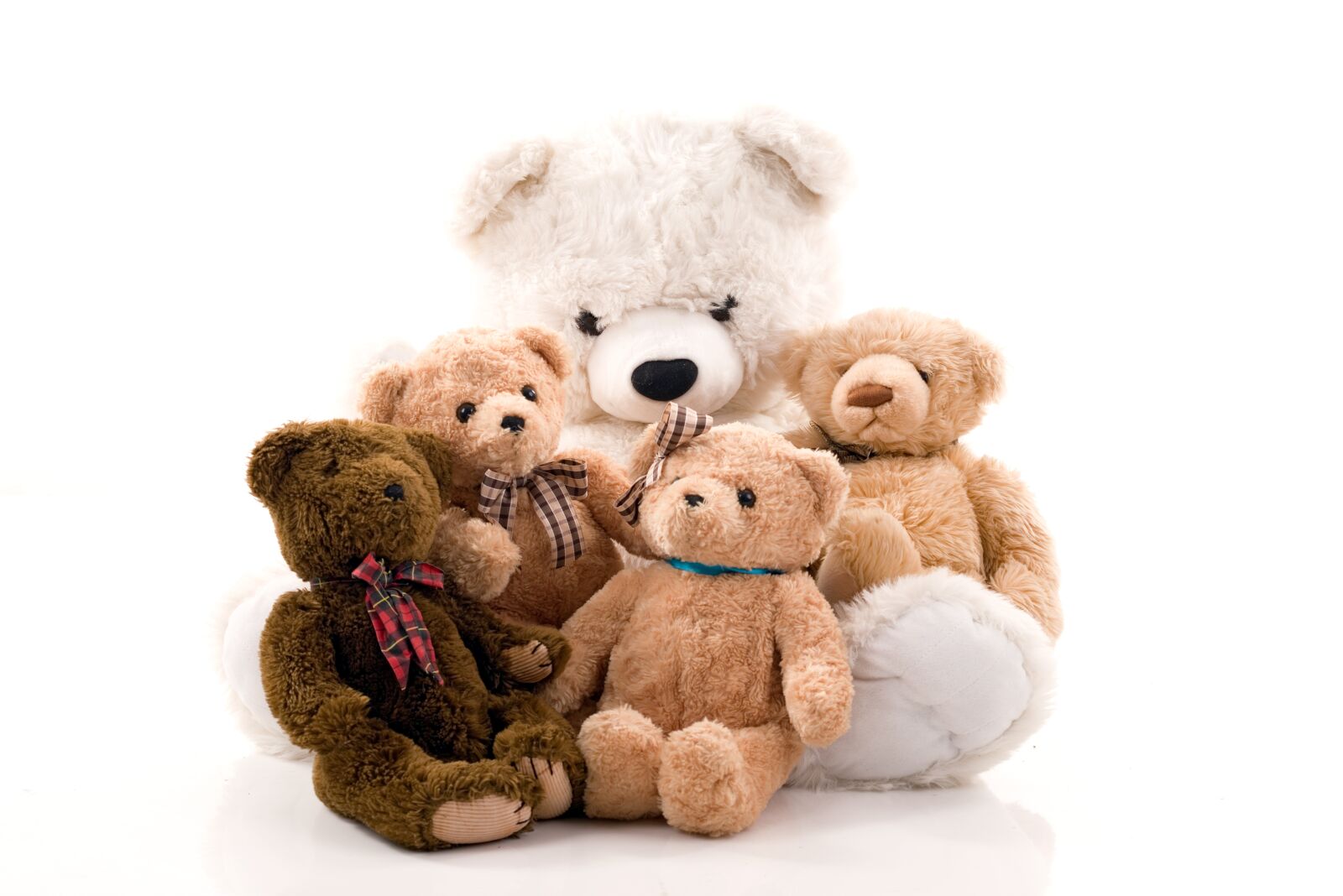 Nikon D800 sample photo. Teddy bear, misiek, the photography