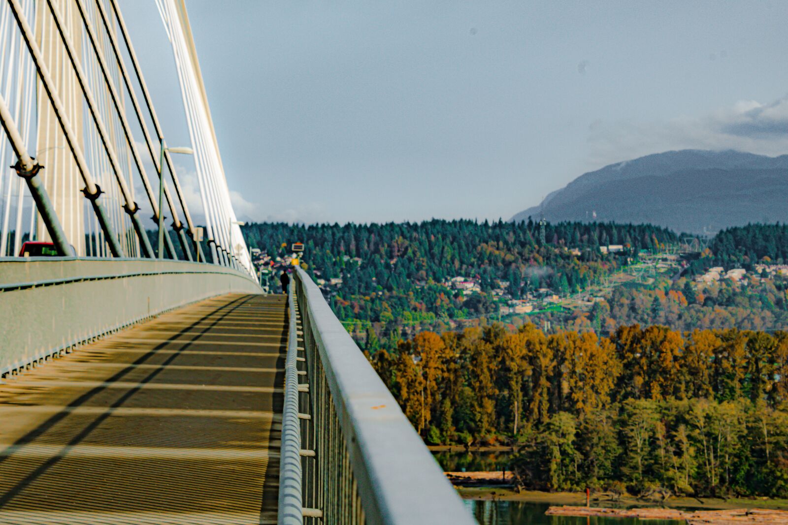Nikon D7500 sample photo. Suspension bridge, bridge walkway photography